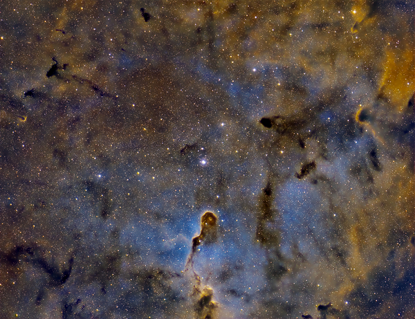 Elephant Trunk   IC1396 by Clearskypix