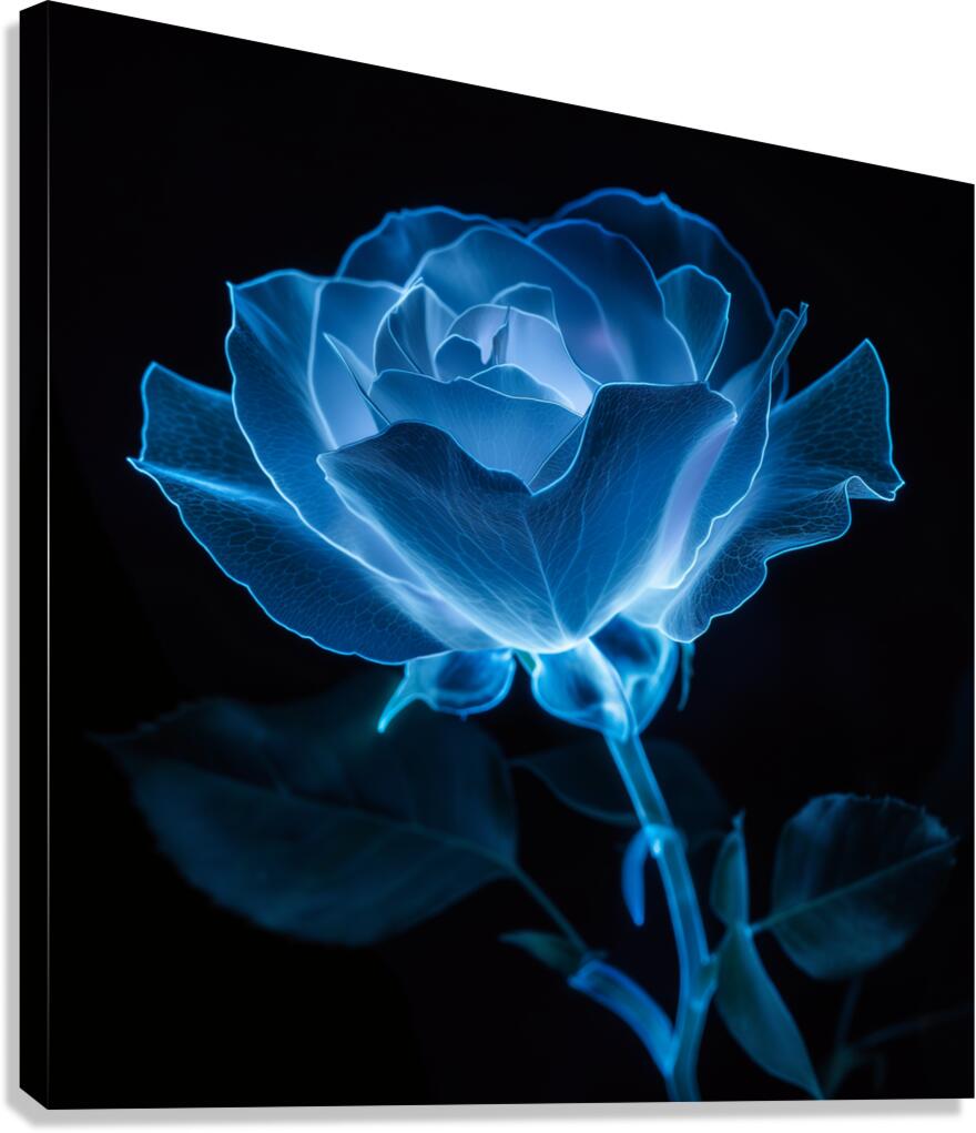 Blue Bioluminescent Rose Black Background Canvas Print