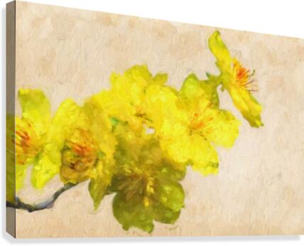 Hao Mai Canvas Print
