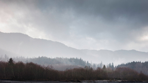 35 Spread Seattle  MGL5216 Edit