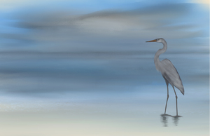 Blue Heron 