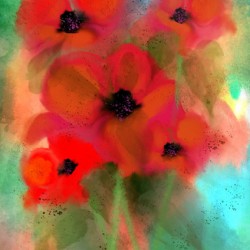 Vibrant Poppies  2 