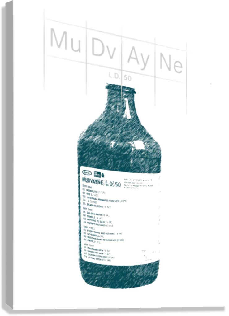 Mudvayne 31 Canvas Print