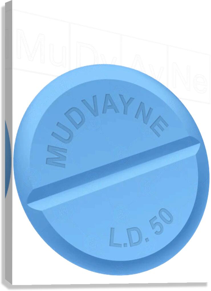 Mudvayne 42 Canvas Print