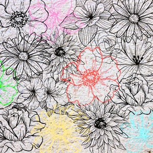 Flower Collage Light