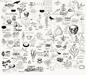 Kitchen Alchemy