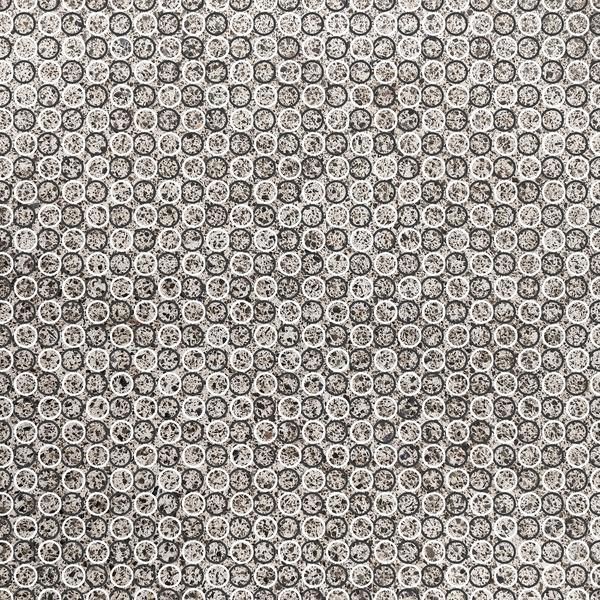 Leonard Print