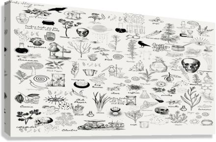 Kitchen Alchemy Canvas Print