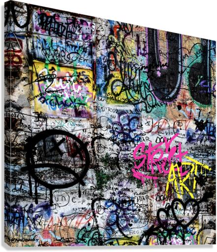 36 Canvas Print