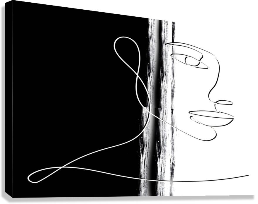 Shadow Canvas Print