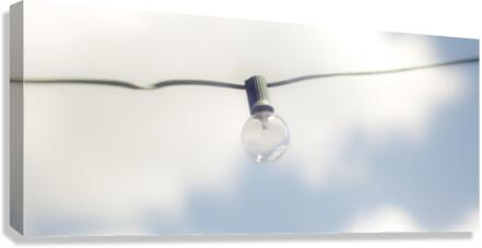 43 Lightbulb Canvas Print