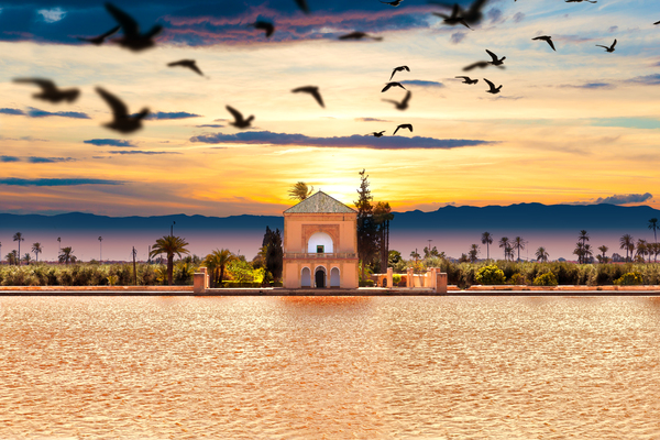 Scenical Menara garden.Travel to morocco.Marrakech by Carlos Castilla