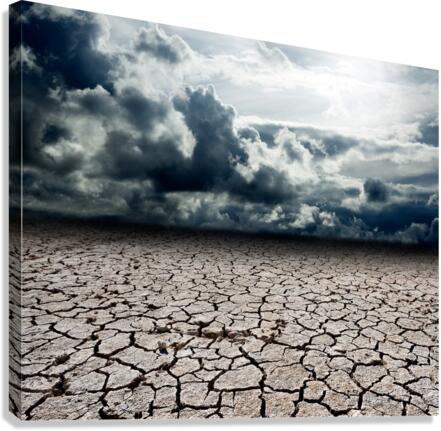 Storm desert Canvas Print