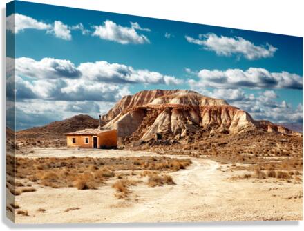 desert landscape Canvas Print