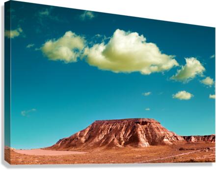 desert landscape Canvas Print
