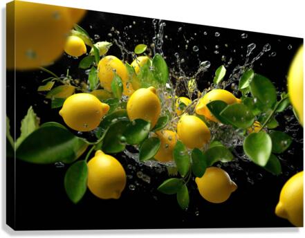 lemons crashing3 Canvas Print