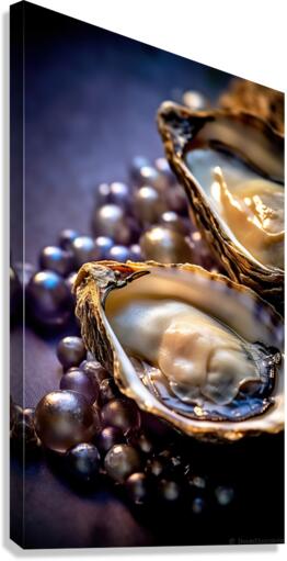 oysters Canvas Print