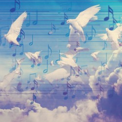 Music background design.Musical writing.Abstract background of doves flying in sky.Musical notes and musical signs of abstract music sheet.Songs and melody concept.