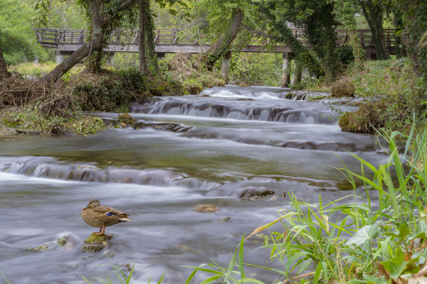 Long exposure shot of river cascades and nature in Krka national park Croatia by Jurica Tomic Svarun