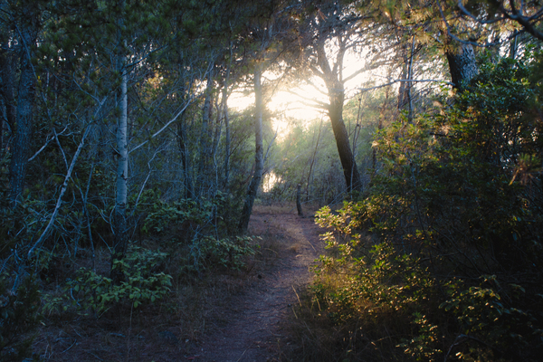 IMG 4190 by Jurica Tomic Svarun