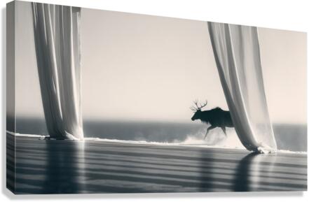 Elk 2 Canvas Print