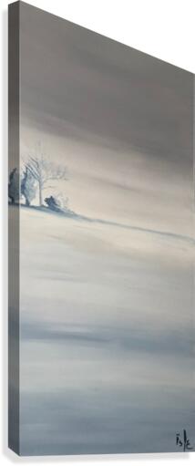 IMG_0020 Canvas Print