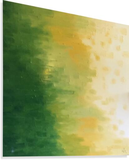 IMG_0031 Canvas Print