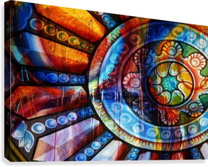 Interplay Canvas Print
