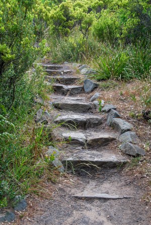 Stone steps at Cape Otway Victoria