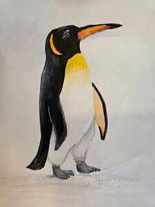 received 467232659508153