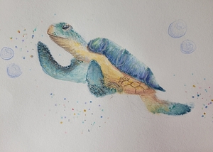 Screenshot 20250301 121646 Photos