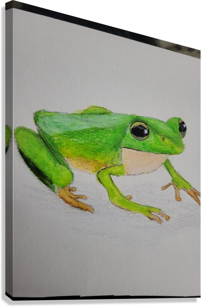 20250114 211150 Canvas Print