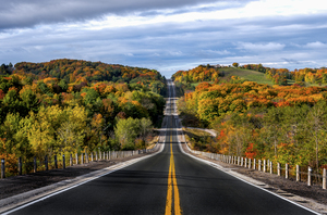 Autumn Drive