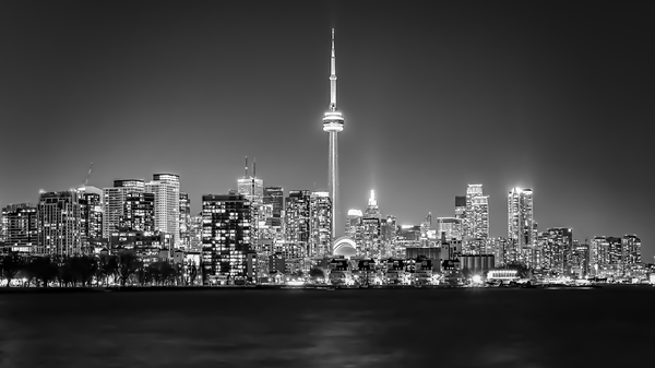 Toronto Skyline  by David Bussieres Photography