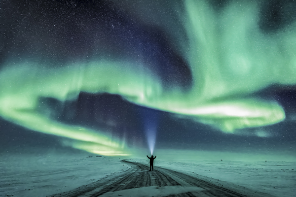 Once in a Life Time  by David Bussieres Photography