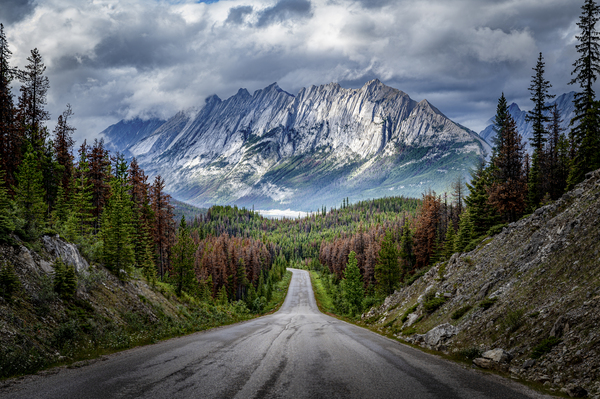 Jaspers Jewel  by David Bussieres Photography