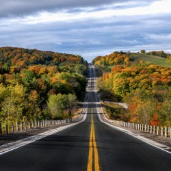 Autumn Drive