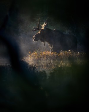 Ombre et lumiere 