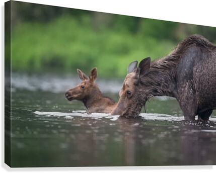 Le bain Canvas Print