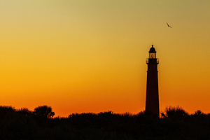 Ponce Inlet Lighthouse at Sunset