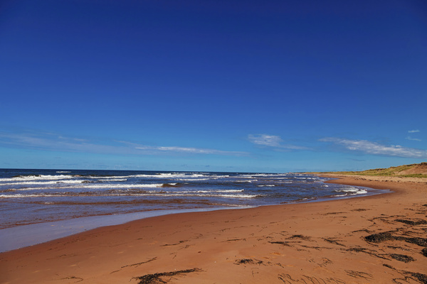 Empty Beach Print