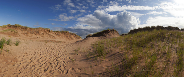 High Dunes Print