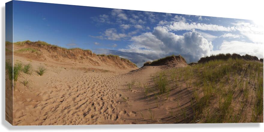 High Dunes Canvas Print