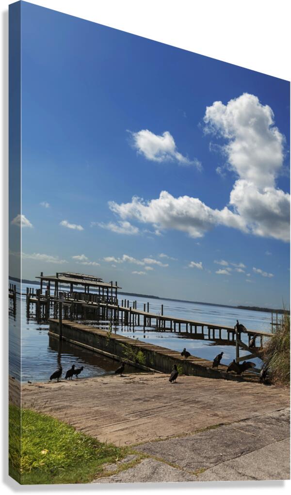 Abandoned Docks Canvas Print