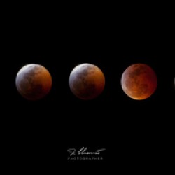 Lunar Eclipse