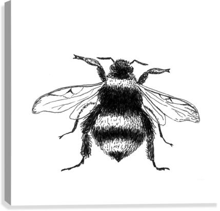 Bumblebee Canvas Print