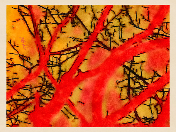 Red Tree Calligraphy Print