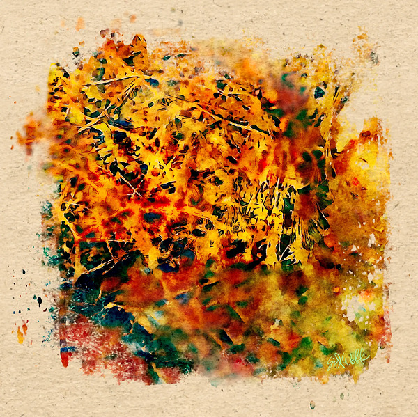Autumn Fire Splash Print