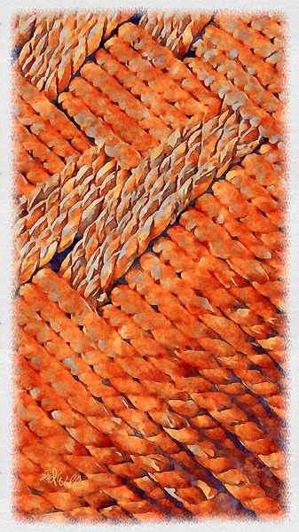 Orange Feather Flow Print