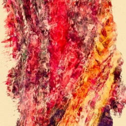 Crimson Yellow Burst